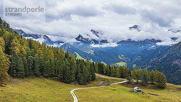 Forest work on the alpine meadow Wuhnleger  in the background the peaks of the rose garden  shrouded in fog  drone shot  Dolomites  Autonomous Province of Bolzano  South Tyrol  Italy  Europe