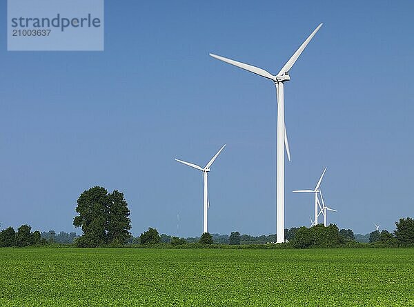 Wind turbine generators in a green field. Southern Ontario  Canada  North America