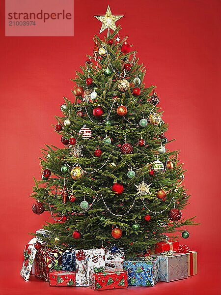 Beautiful decorated Christmas tree with colorful wrapped gifts under it. Isolated on bright red background