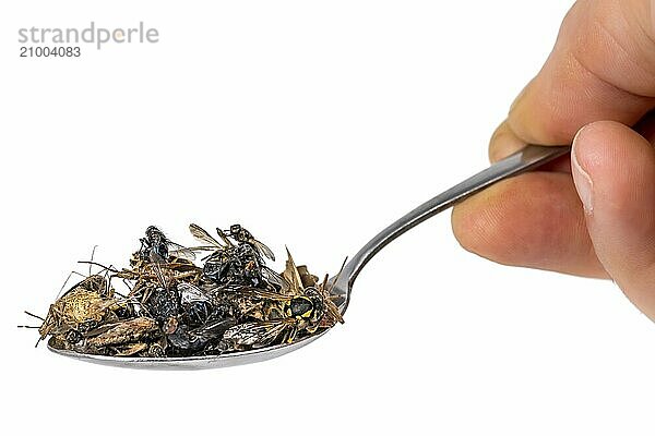 Many dead insects lie on a tablespoon held in the hand  isolated on white