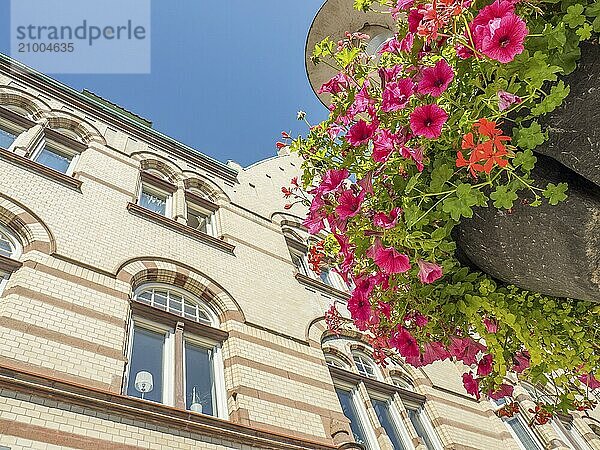 Flower planting in front of a tall building with many windows against a clear sky  trelleborg  sweden  baltic sea  scandinavia