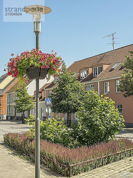 Hanging basket on a street with buildings  green areas and a lantern on a sunny day  trelleborg  sweden  baltic sea  scandinavia