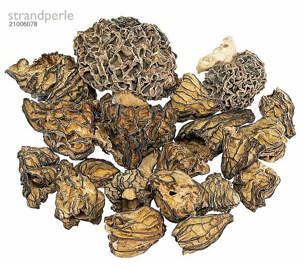 Macro shot of various dried morel mushrooms cropped on white