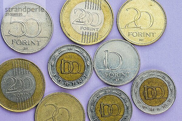 Assortment of Hungarian forint coins on purple background