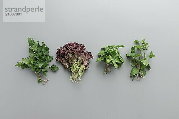 Gardening and healthy eating concept with different herbs and salad leaves on gray background