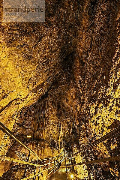 The cave is located about 11 kilometres from Alanya on the western slope of Cebeli Reis Mountain  232 metres above sea level. The 360m long and 10-15m wide cave consists of four galleries. There are numerous stalactite  stalagmite and travertine formations in the cave. At the end of the cave there is a small lake with an area of approx. 200 square metres.  Alanya  Antalya  Turkey  Asia