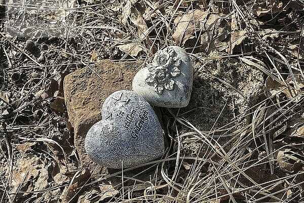 Hearts with inscription  natural burial grave site  Friedwald  Reinhardswald Forest  Weser Uplands  district of Kassel  Hesse  Germany  Europe