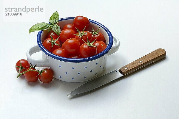 Cherry tomato in pot  cherry tomato  Solanum lycopersicum