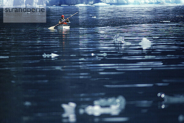 Kayaking in South Eastern Alaska  USA.