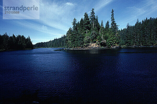 High tide in a wooded inlet  Alaska  USA.