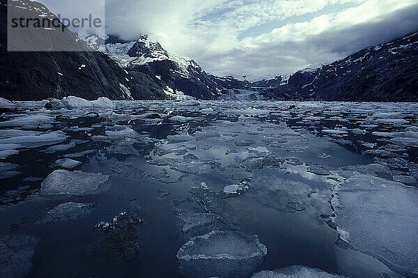 An icy waterway  Glacier Bay  Alaska.