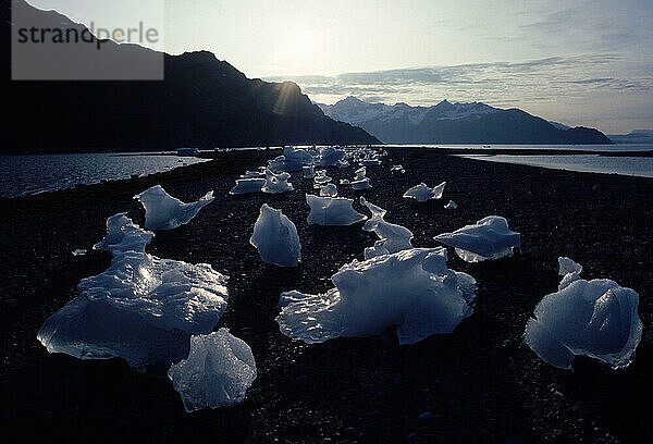 Small chunks of ice along a beach  Alaska  USA.