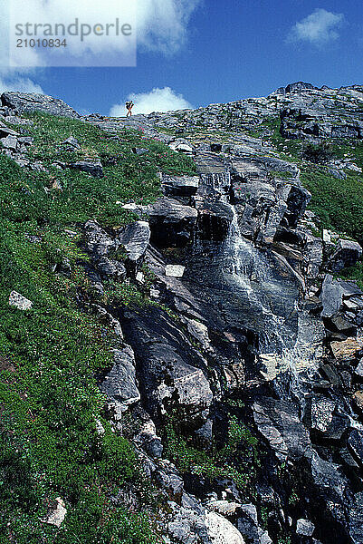 A rocky cliff  Alaska  USA.