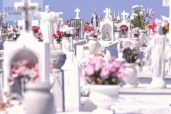 Cemetery in Puerto Rico