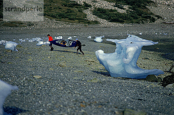 Bringing a canoe ashore amongst ice  Alaska  USA.