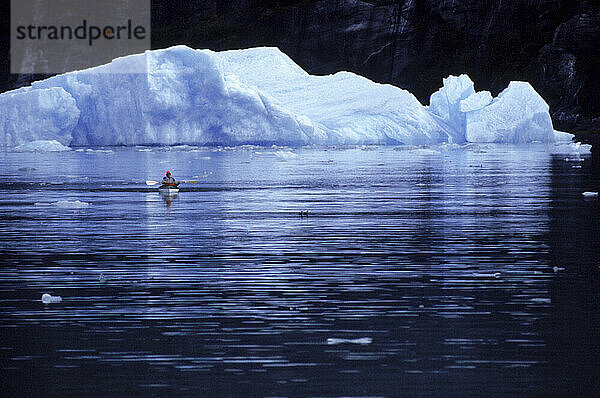 Kayaking in South Eastern Alaska  USA.