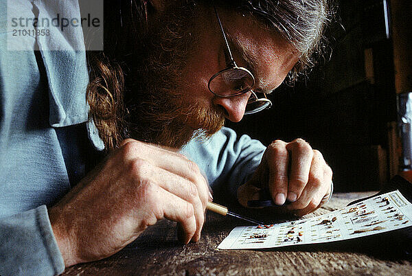 A bearded man preserving insects  Alaska  USA.