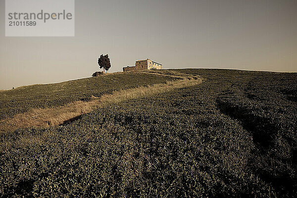 Tuscan Countryside  Italy