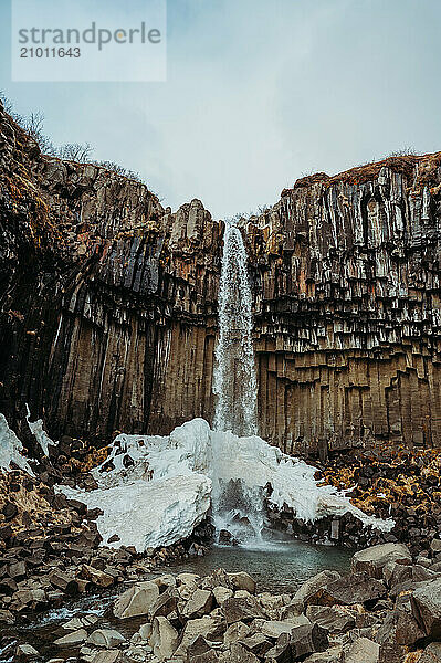 Svartifoss waterfall cascades over dark basalt columns in Iceland