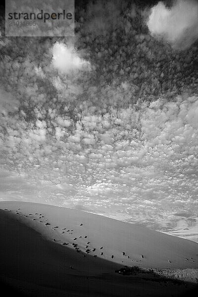 Giant Sand dunes in Erg Chebbi  Morocco