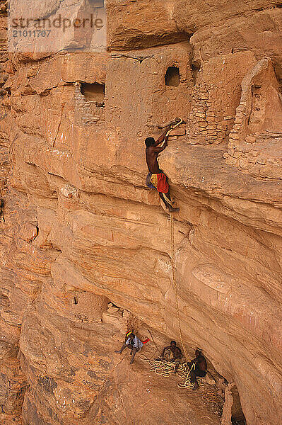 Tribal man climbing a rock cliff  Mali Dogon  Village of Pegua  Africa.