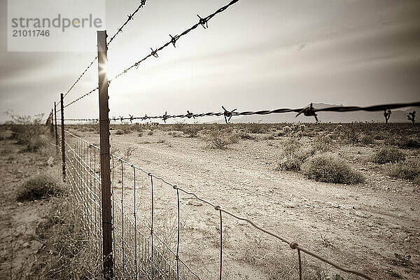 Nevada Fences and Joshua Trees