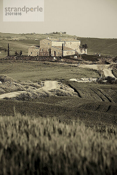 Tuscan Countryside  Italy