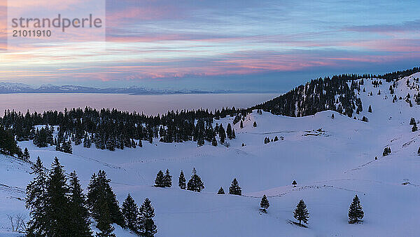 Winter landscape with mountains of Jura and Alps  Massif de la Dole  Vaud Canton  Switzerland