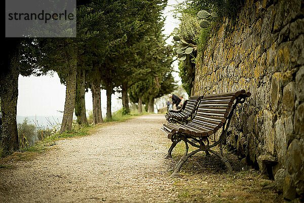 Benches line a path of cypress trees in Tuscany  Italy.