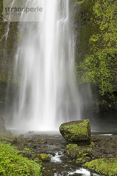 Water melts down the lush green forest at Multnomah Falls in the Columbia River Gorge