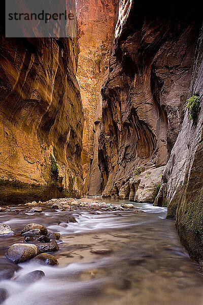 The Virgin River in Zion National Park's Narrows