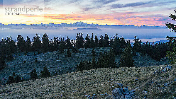 Hills  trees and Alps at sunrise  Vaud Canton  Switzerland