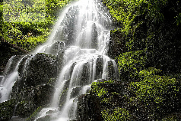 Water melts down the lush green forest at Fairy Falls in the Columbia River Gorge.