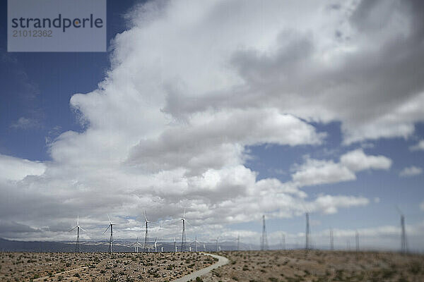 Windmills dot the southern California landscape.