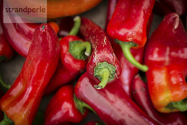 Red peppers are sold in a market in Buonconvento  Italy.