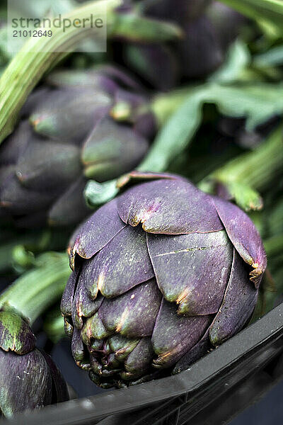 Artichokes are sold in a market in Buonconvento  Italy.