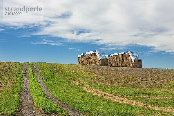 A large haystack in the Rathdrum Prairie under a rich partly cloudy blue sky in North Idaho