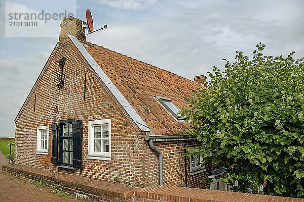 A charming brick house with a tiled roof  surrounded by a tree and a wall  ditzum  east frisia  germany