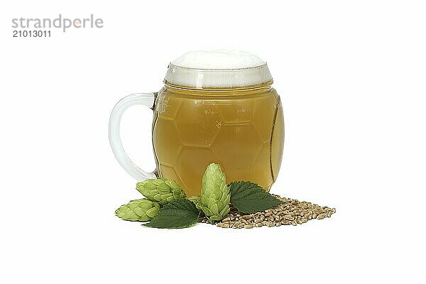 Glass mug filled with a beer near fresh green hops cones and pile of grain in close up isolated on white background  beer brewing ingredients