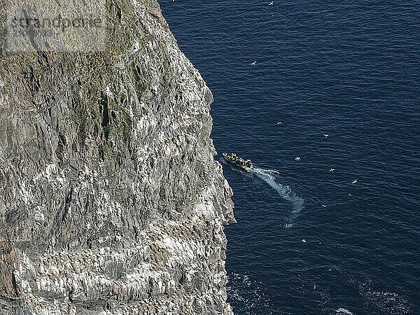 Coastal safari to the gannet colony on the bird island of Runde in Norway