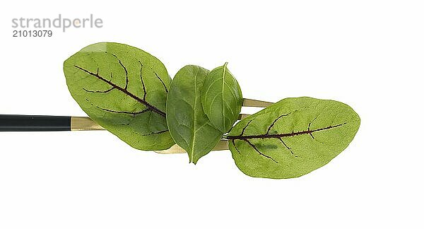 Simple and striking presentation of a spring lettuces leaves mix on a fork with a black handle against a pure white background  concept of healthy diet and organic food