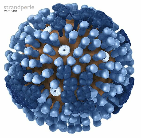 3D illustration of a generic Influenza virion?s ultrastructure