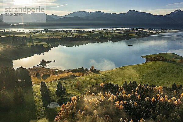 Aerial view of a lake in front of mountains in the morning light  fog  autumn  Forggensee  view of Ammergebirge  Alpine foothills  Upper Bavaria  Bavaria  Germany  Europe