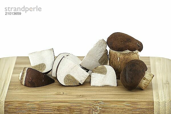 Pine bolete  Boletus pinophilus or pinewood king bolete isolated on white background  full depth of field