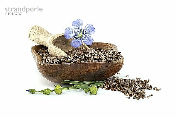 Wooden bowl filled with linseed seeds and a vibrant purple flax flower isolated on white background