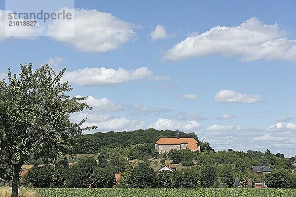 Former monastery church  church  houses  Wittenburg  Elze  Lower Saxony  Germany  Europe