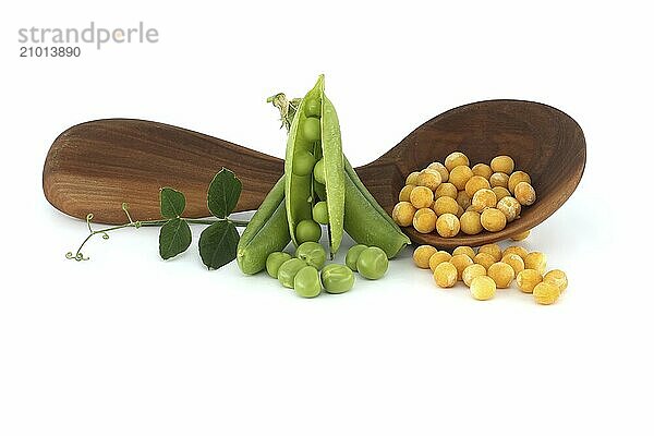 Wooden spoon filled with a yellow dried peas surrounded by a green leaf  fresh green peas and pea pods isolated on white background  healthy  plant based diet