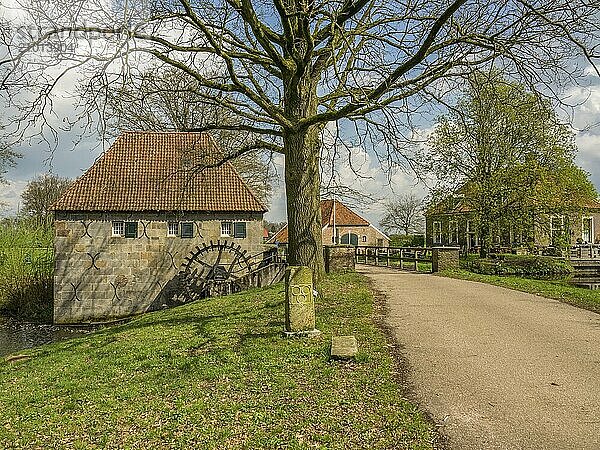 View of an old watermill and a tree along an old path  surrounded by a natural spring landscape  Eibergen  Gelderland  the Netherlands