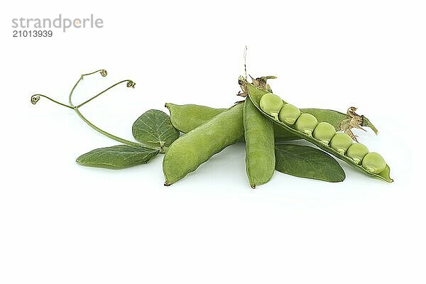 Open pea pod and round green peas inside  green leaf with a pointed tip and pea pods in close up isolated on white background