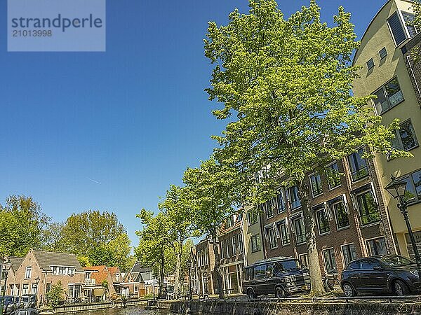 Several houses along a canal  large tree  blue sky  parked cars  alkmaar  the netherlands